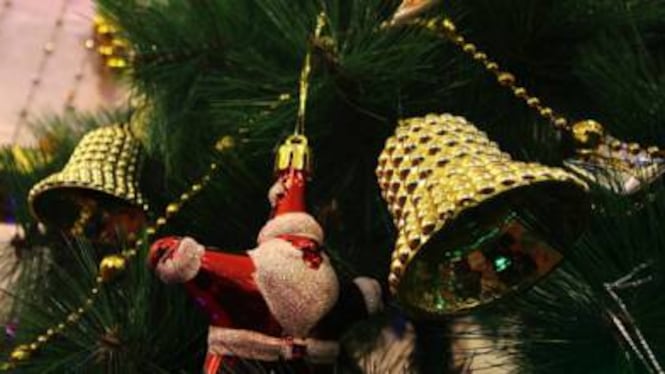 Bari, pizzo sull’albero di Natale in piazza