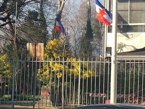 Foibe, sfregio del centro sociale: "Esposta bandiera jugoslava"
