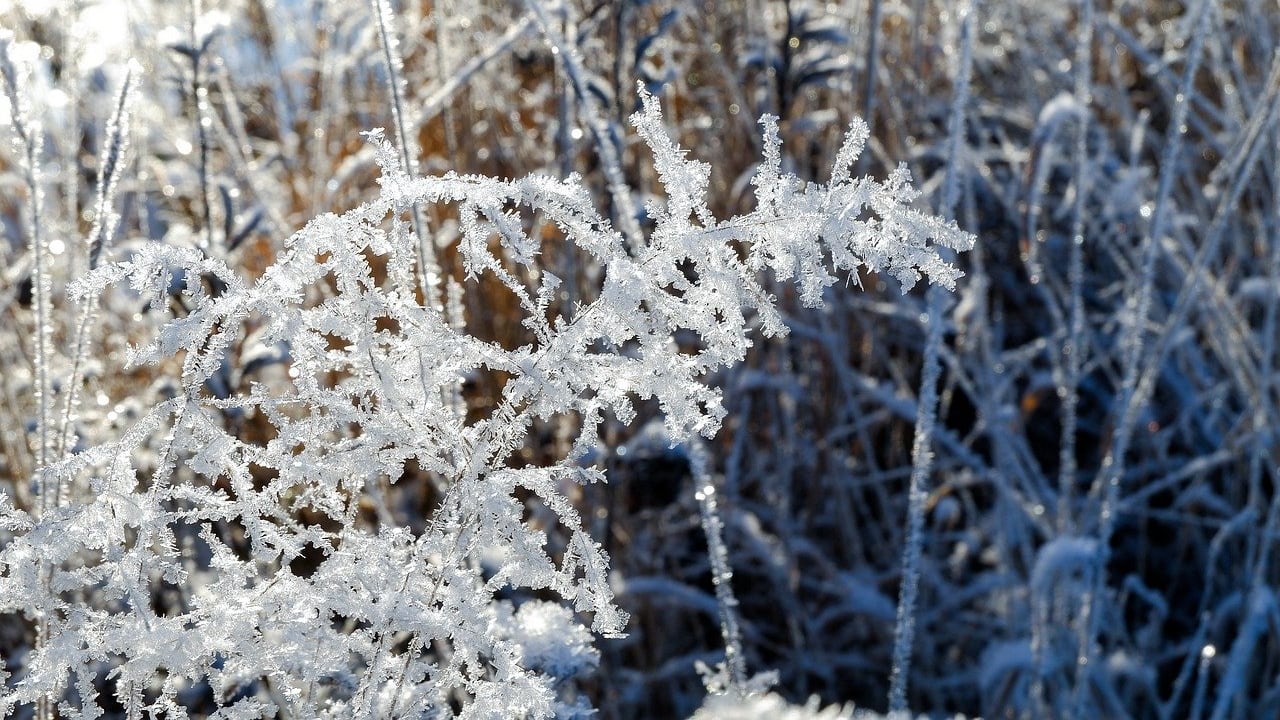 Assaggio invernale sull’Italia: cosa aspettarsi dal meteo nel week-end