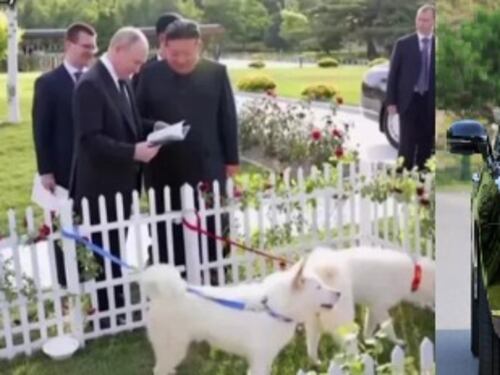 Auto di lusso, la scatola misteriosa e cani leggendari: cosa svelano i regali tra Kim e Putin