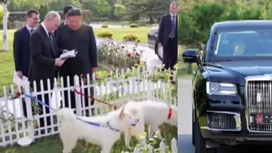 Auto di lusso, la scatola misteriosa e cani leggendari: cosa svelano i regali tra Kim e Putin