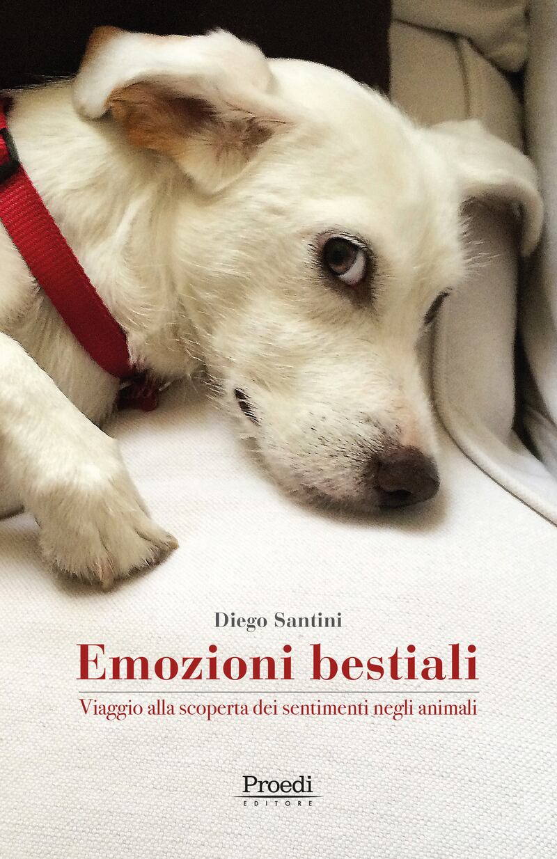 Copertina Emozioni Bestiali