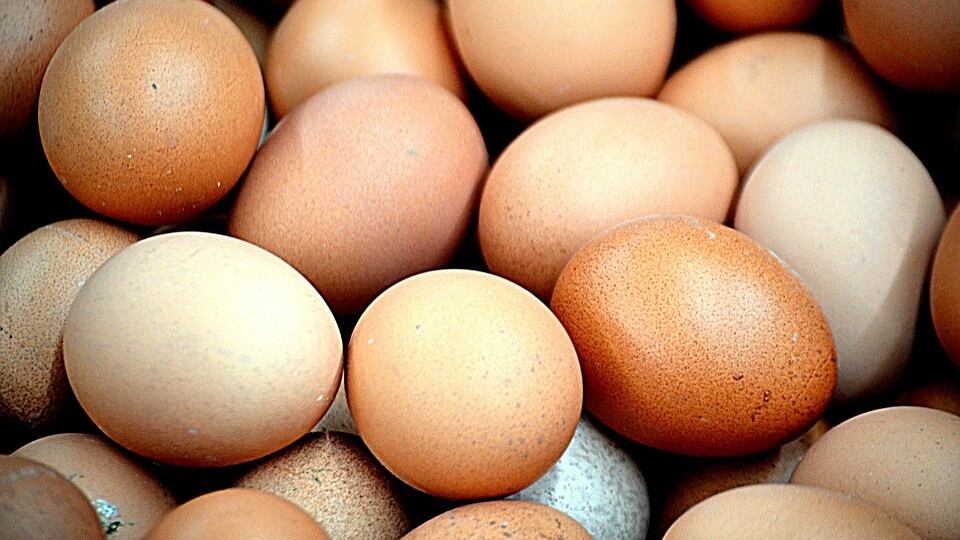 Muore dopo aver mangiato 42 uova: una folle sfida finisce in tragedia
