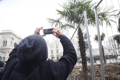 Piazza Duomo, incendiata una delle palme  4
