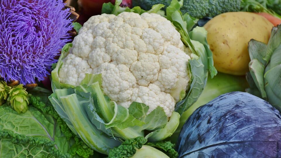 Il cavolo, ortaggio dalle proprietà antitumorali