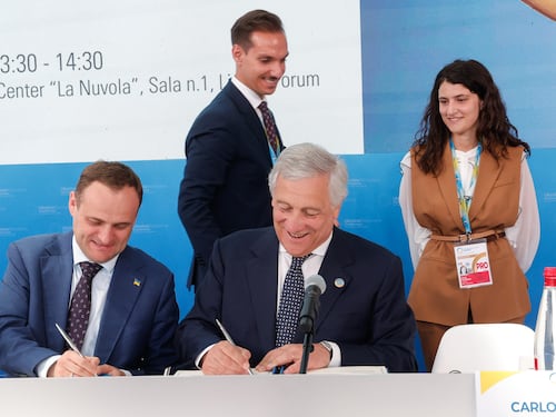 L'impegno italiano per la nuova Odessa. Dal grano alla logistica, il fattore business
