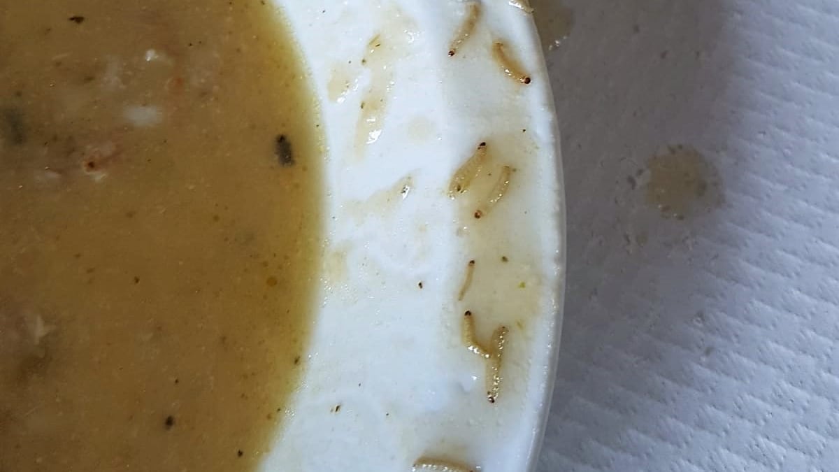 Vermi nel cibo della mensa a scuola: scoppia il caso a Marano