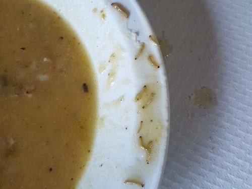 Vermi nel cibo della mensa a scuola: scoppia il caso a Marano