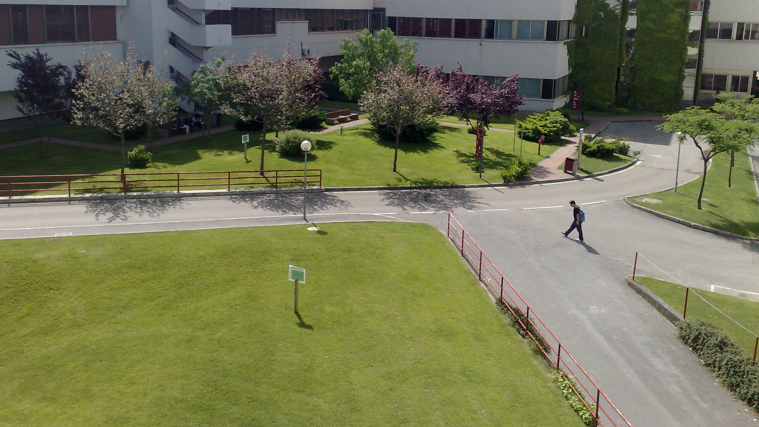 In Campania niente stop a scuole, università e concorsi