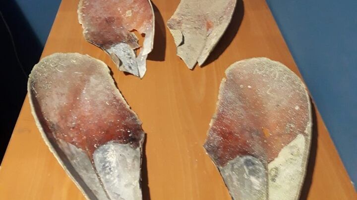 Sardegna, turisti ladri di sabbia e molluschi: multe fino a 3mila euro