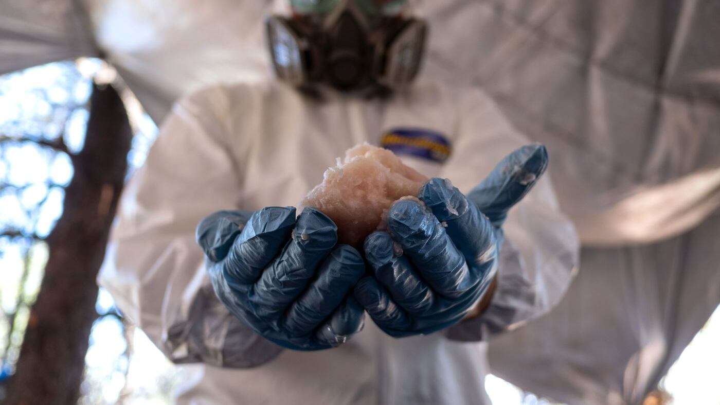 Stati Uniti, professori di chimica accusati di produrre metanfetamina nel laboratorio della scuola