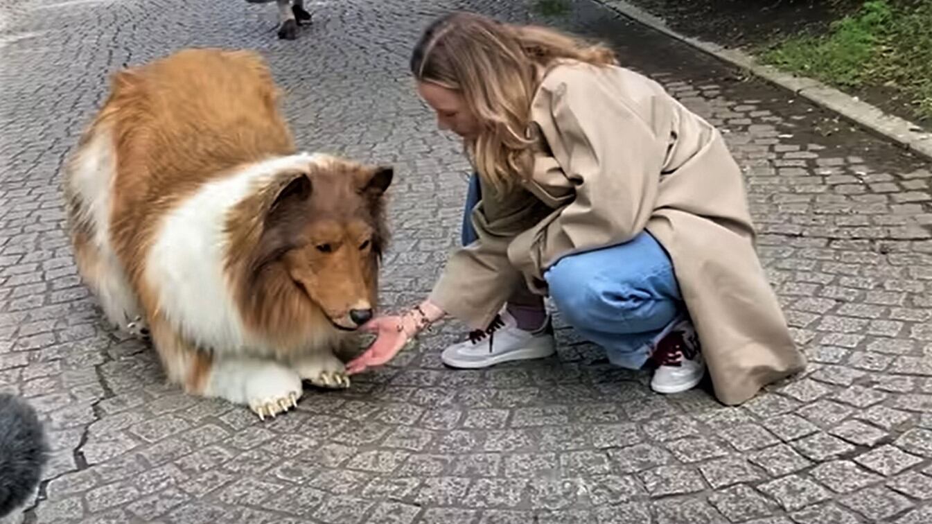 Realizza il sogno di trasformarsi in un cane con 13mila euro: cosa ha fatto lo youtuber