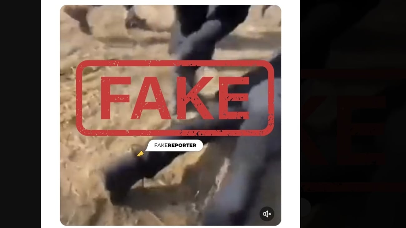 Fake news, social e propaganda: come funziona la guerra digitale di Hamas