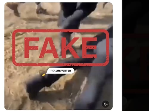 Fake news, social e propaganda: come funziona la guerra digitale di Hamas
