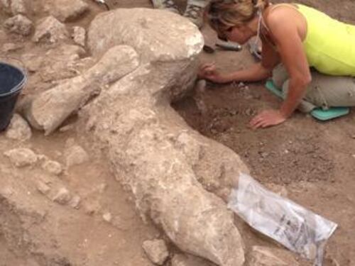 Le statue antiche in balia dei ladri. E l'archeologo paga le guardie