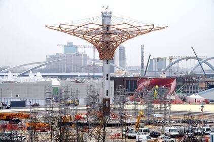 L'albero di Expo mette la chioma 15