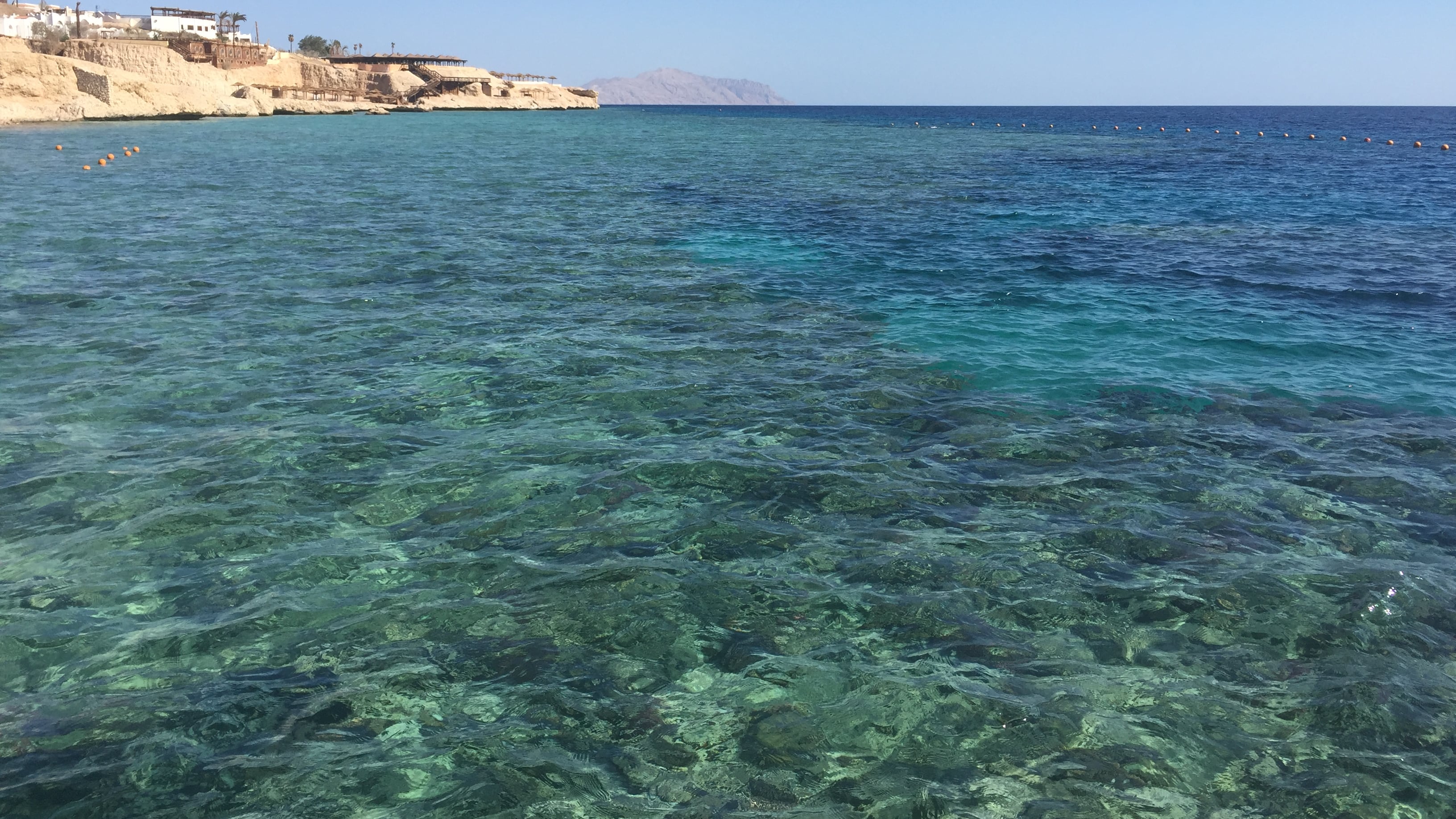 Reagire alla paura del terrorismo rilassandosi sulle spiagge di Sharm