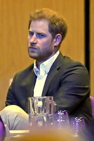 Principe Harry, le foto del convegno sul turismo 4