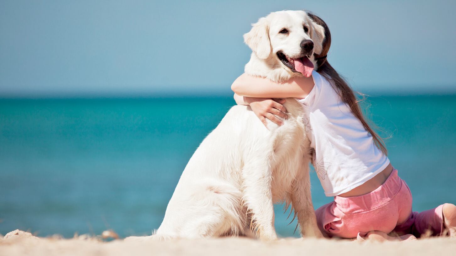 Un'estate da cani I cinque (più uno) pericoli per Fido