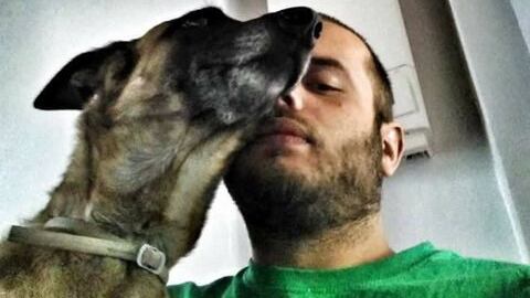 Non è stato il bull terrier a uccidere l'addestratore