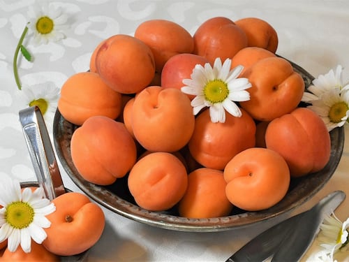 Albicocche, un prezioso frutto per la salute
