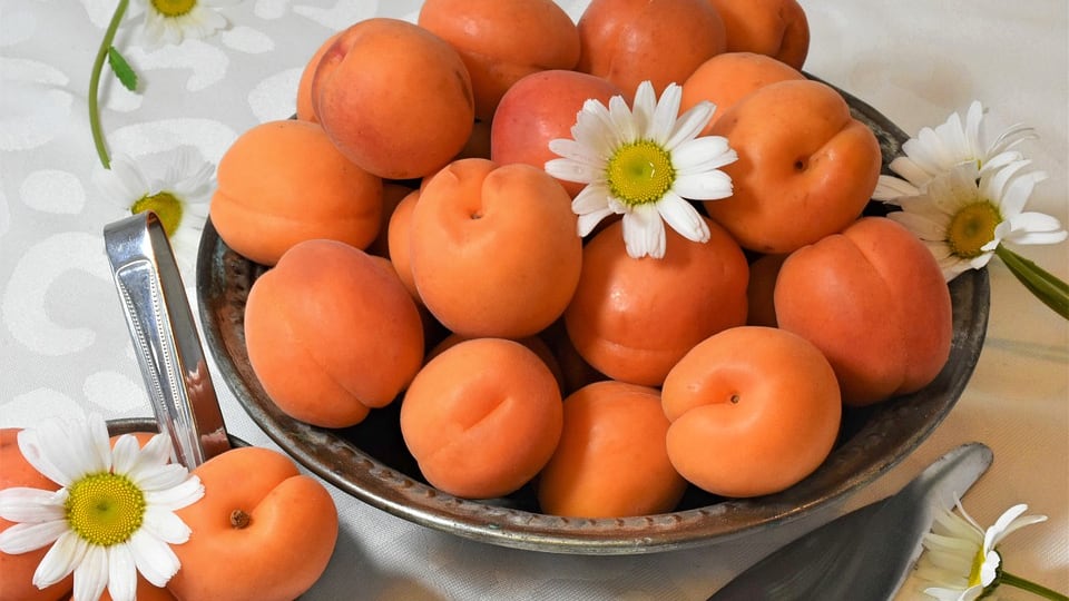 Albicocche, un prezioso frutto per la salute