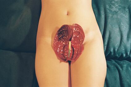 Pornceptual, il porno concettuale: foto 18