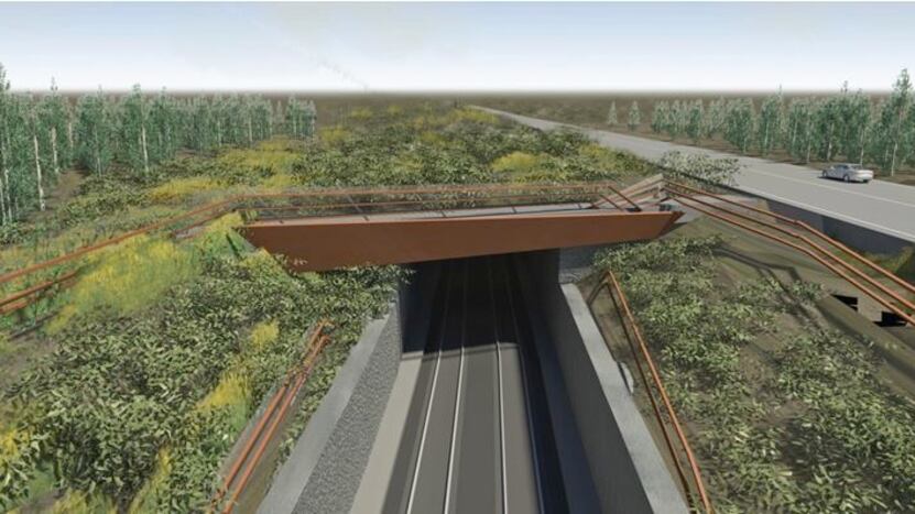 Così cambia la ferrovia: ecco i binari del futuro