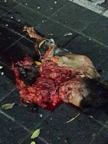 Attentato in centro a Bangkok 8