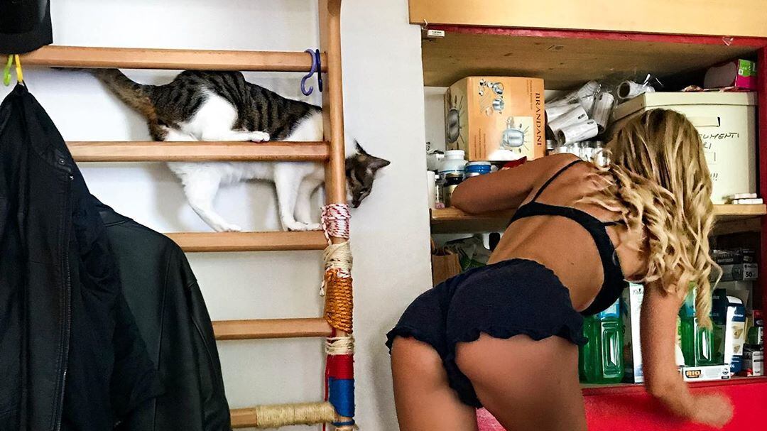 Elena Morali massacrata sui social: "Pensa a ripulire la tua casa"