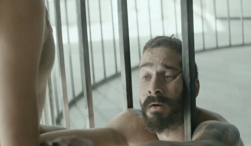 Shia LaBeouf, le immagini 12