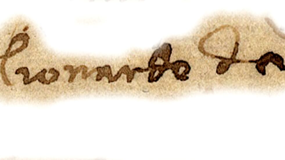 I segreti della scrittura di Leonardo Da Vinci