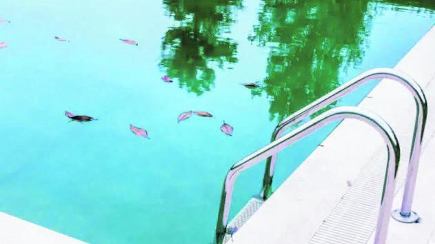 Bimbo morto in piscina, indagate la madre e la zia