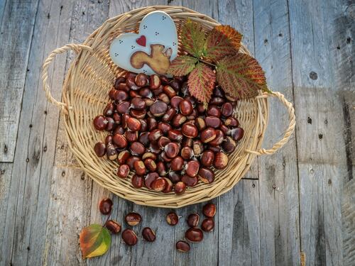 Castagne: 6 ricette per gli over 60