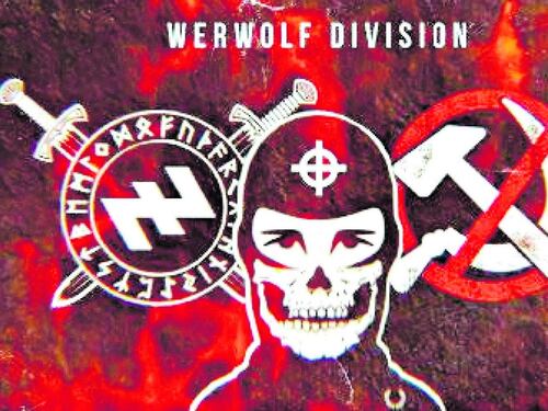Chat neonazi, armi ed esplosivo. "La strage a scuola e mi uccido"