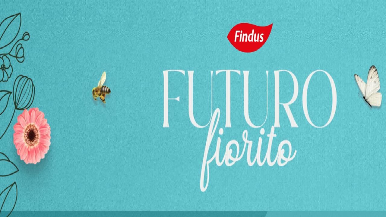 'Futuro Fiorito', progetto di Findus con 3Bee per monitorare la biodiversità nei campi