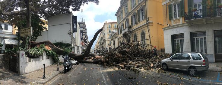 Crolla albero su Aurelia a Sanremo 3