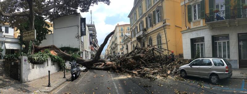 Crolla albero su Aurelia a Sanremo 3