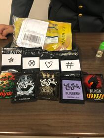 Malpensa, lotta al traffico di droga 2