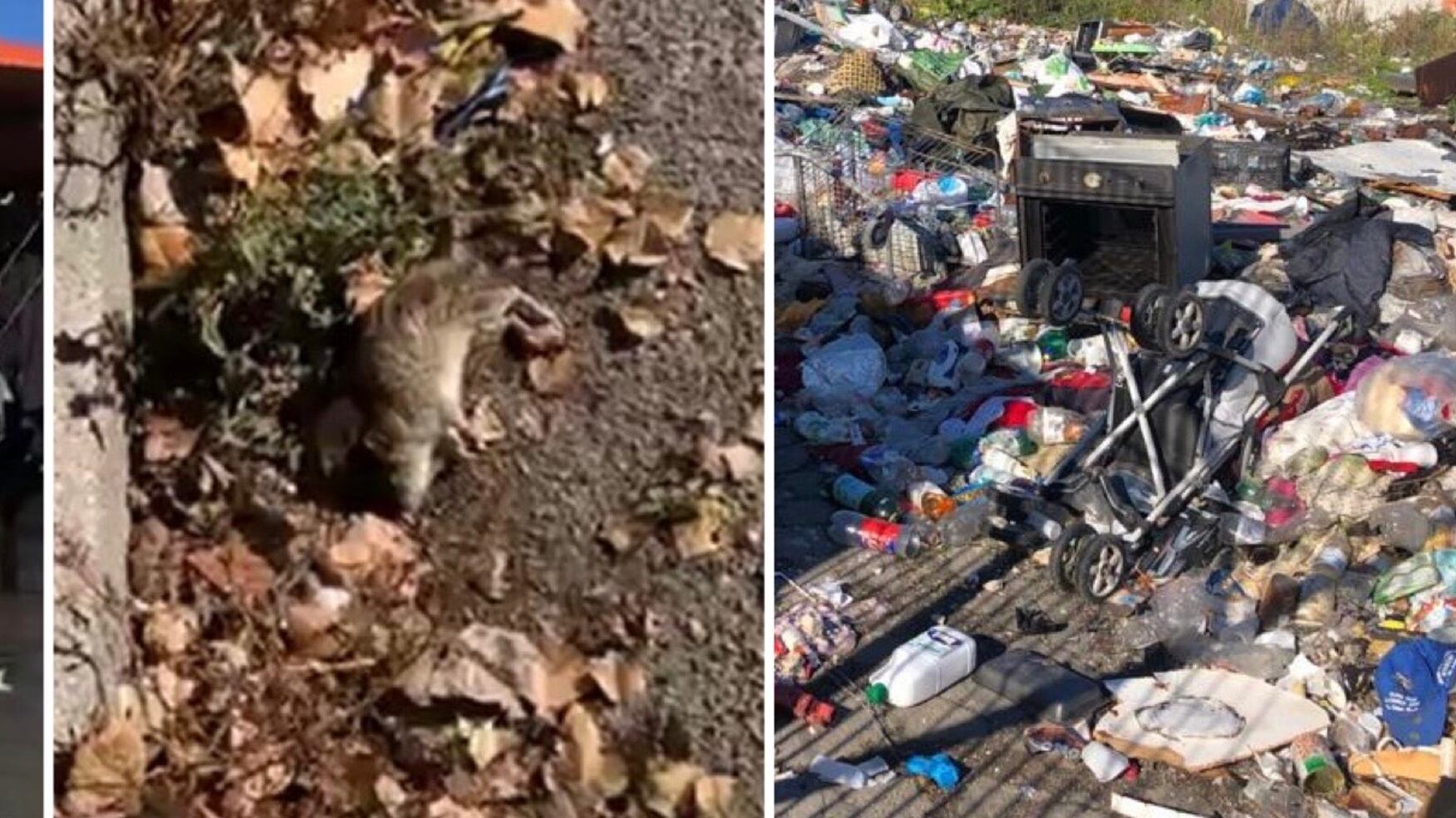 Il campo rom? Un "girone infernale" tra criminalità e rischio contagi