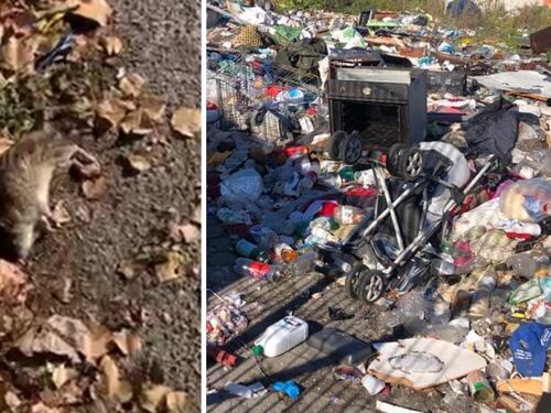 Il campo rom? Un "girone infernale" tra criminalità e rischio contagi