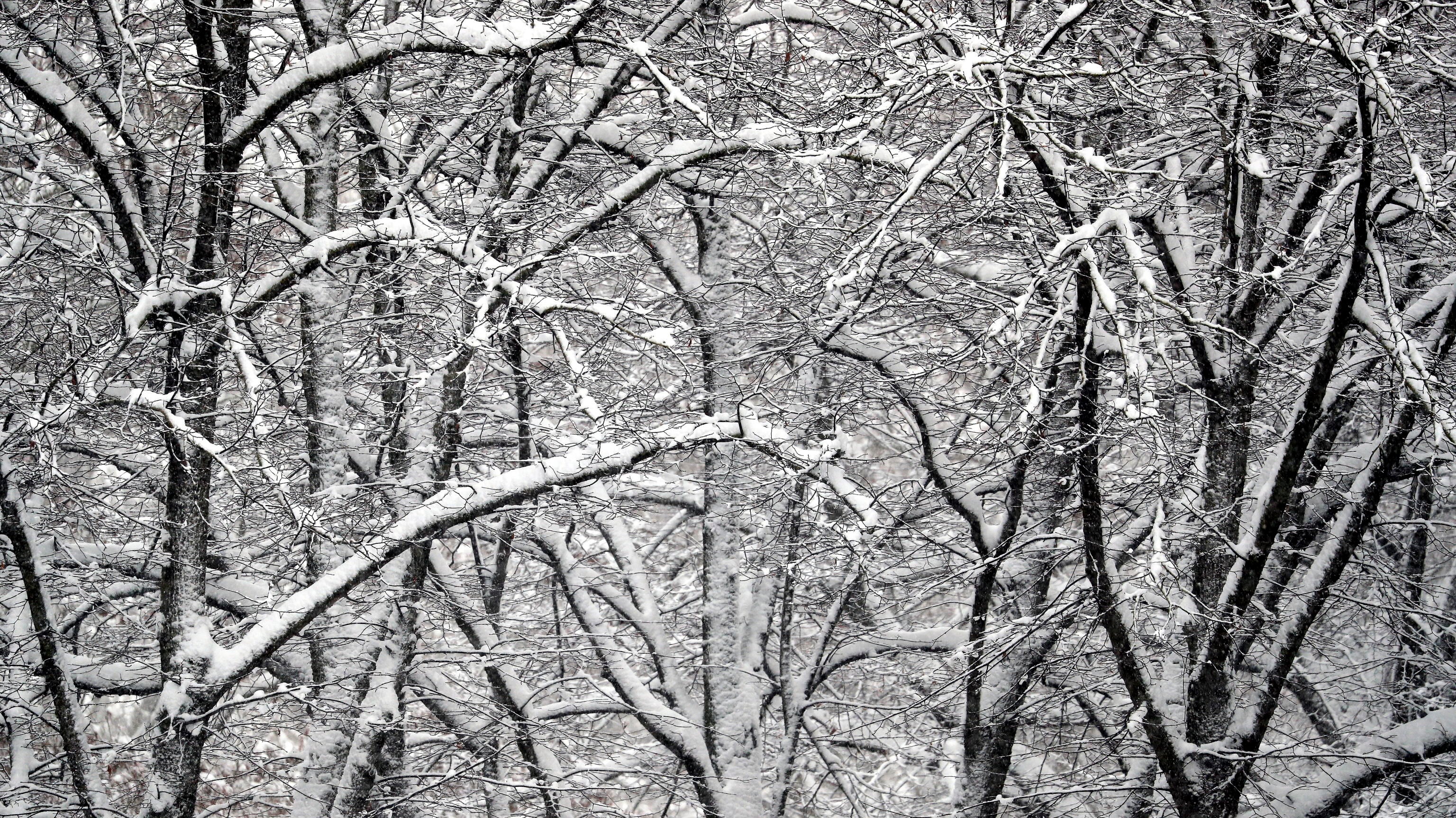 Meteo stravolto: dalla primavera all'inverno in poche ore