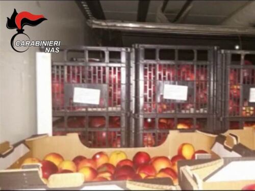 Vendono il cibo destinato ai poveri, maxi truffa all'Ue da 4 milioni di euro