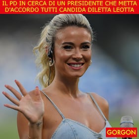 Ecco la satira del giorno. il PD cerca candidato ideale 1