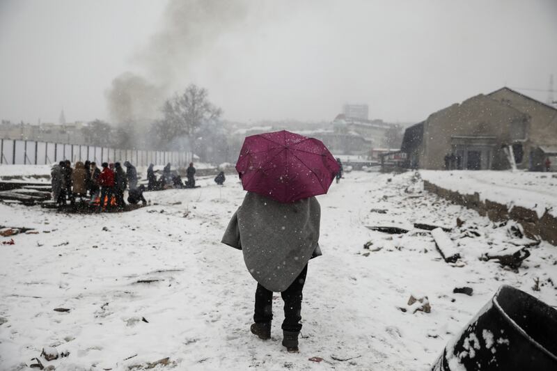 Migranti in fila nella neve a Belgrado 5