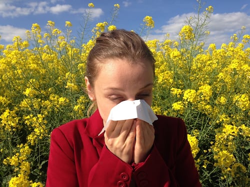 Allergie primaverili, i dieci alimenti che rafforzano le difese immunitarie