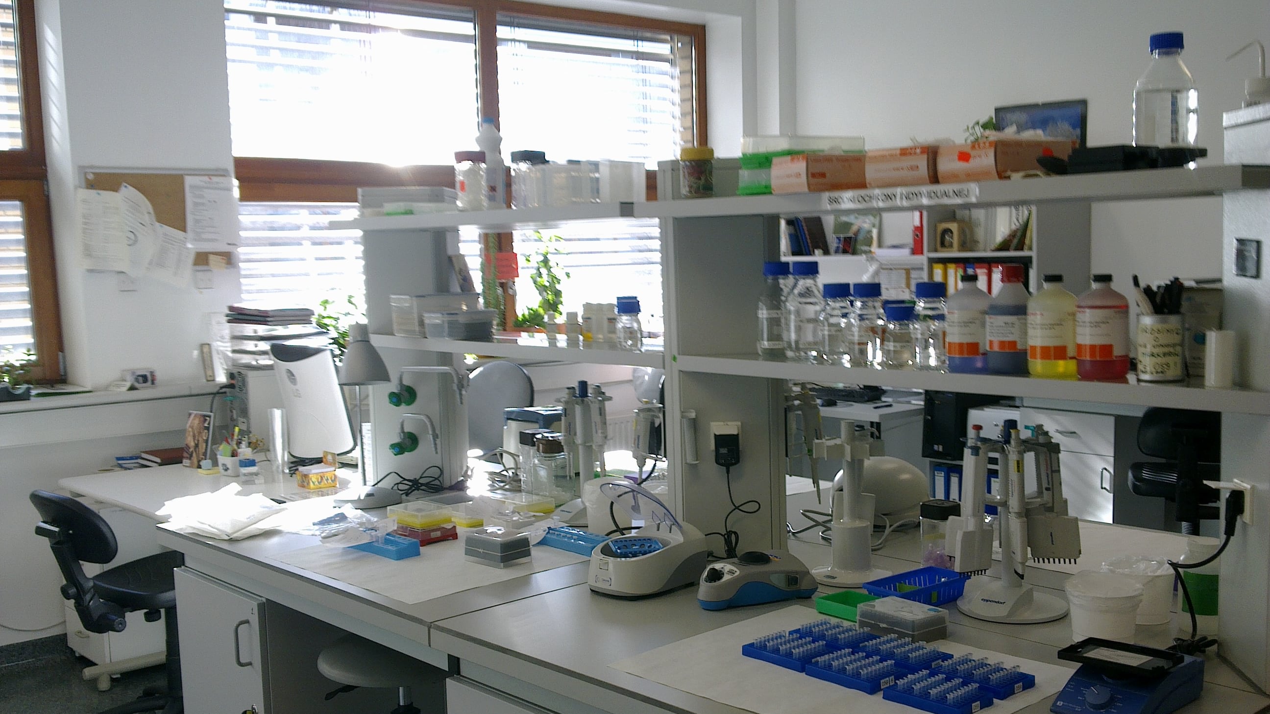 "I virus nei laboratori...". Scatta l'allerta in Ucraina