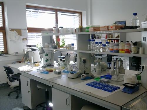 "I virus nei laboratori...". Scatta l'allerta in Ucraina