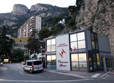Principato di Monaco, nati i gemelli di Alberto e Charlene 3