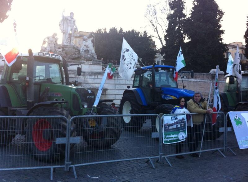 La piazza di Salvini 12